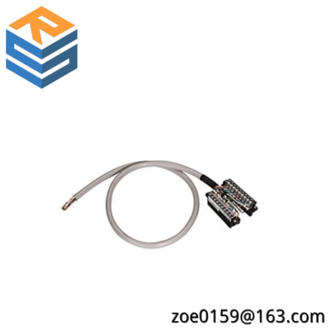 Schneider Electric 1492-CABLE050TBCH Industrial Control Cable