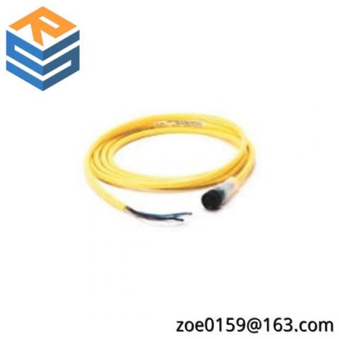 Siemens 889N-U3AF-12F Mini Straight Cord, Industrial Control Module