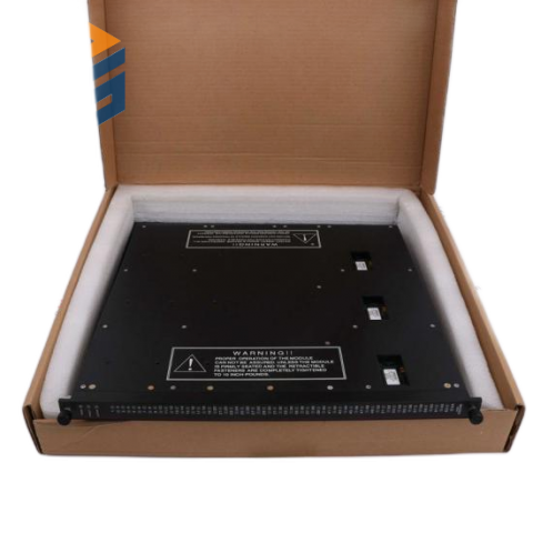 YOKOGAWA AAM21 - Electric Power Input Module for CENTUM CS Systems