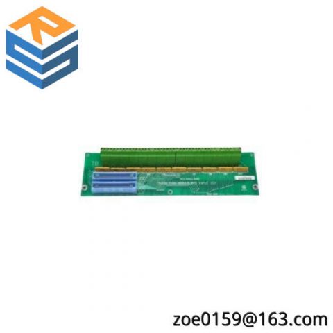 General Electric DS200TBCBG1AAA: Advanced RTD Input Terminal Board