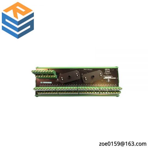 SIEMENS 16169-1-07 Analog Input Output Module