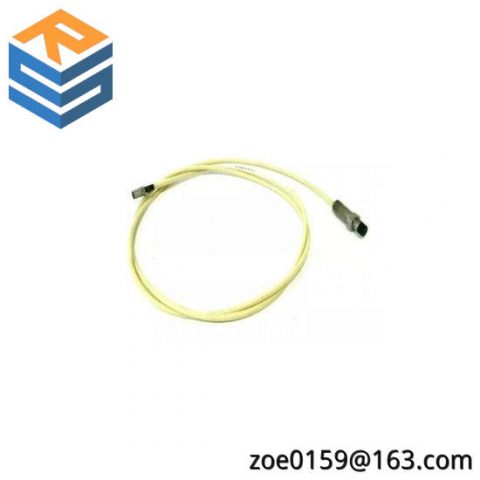 BENTLY 10244-27-50-01 Vibration Monitoring Module
