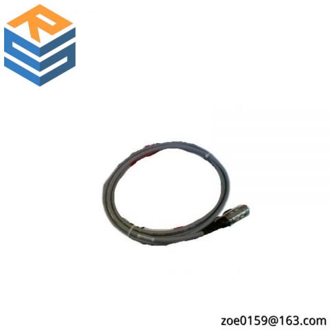 Pasan 200035 Industrial Photometric Monitor